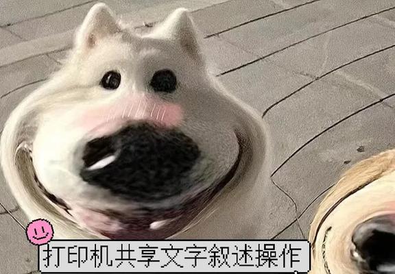 打印机误操作打印了怎么办？如何设置避免误打印？