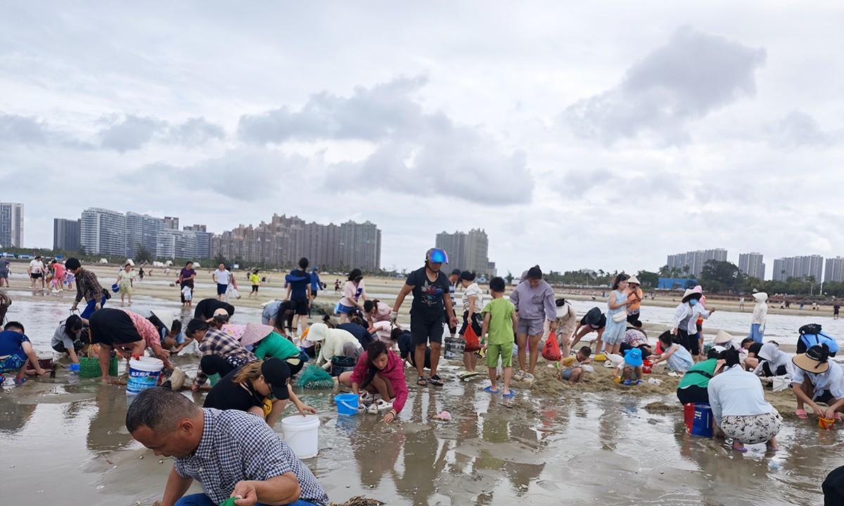 台风韦帕走后，北海大墩海惊现大量海螺，游客市民说根本捡不完