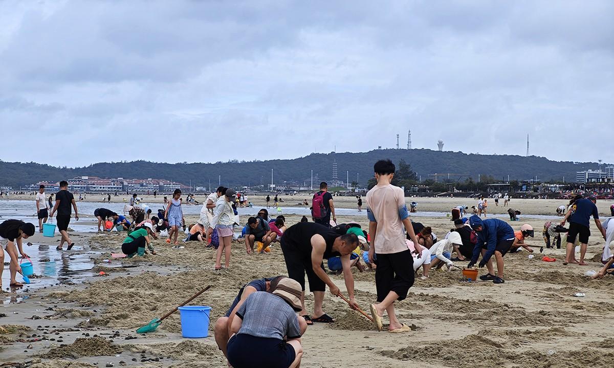 台风韦帕走后，北海大墩海惊现大量海螺，游客市民说根本捡不完