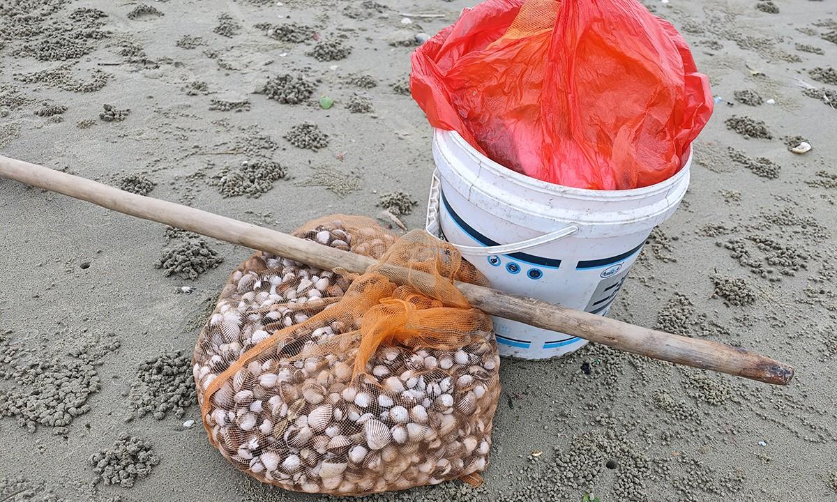 台风韦帕走后，北海大墩海惊现大量海螺，游客市民说根本捡不完